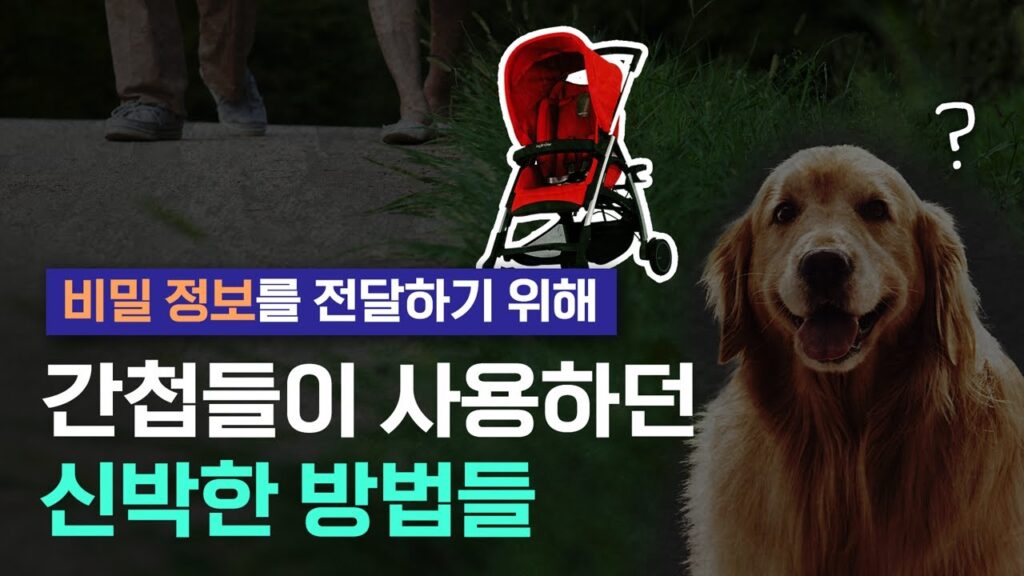 「간첩」의 한국수어 표현