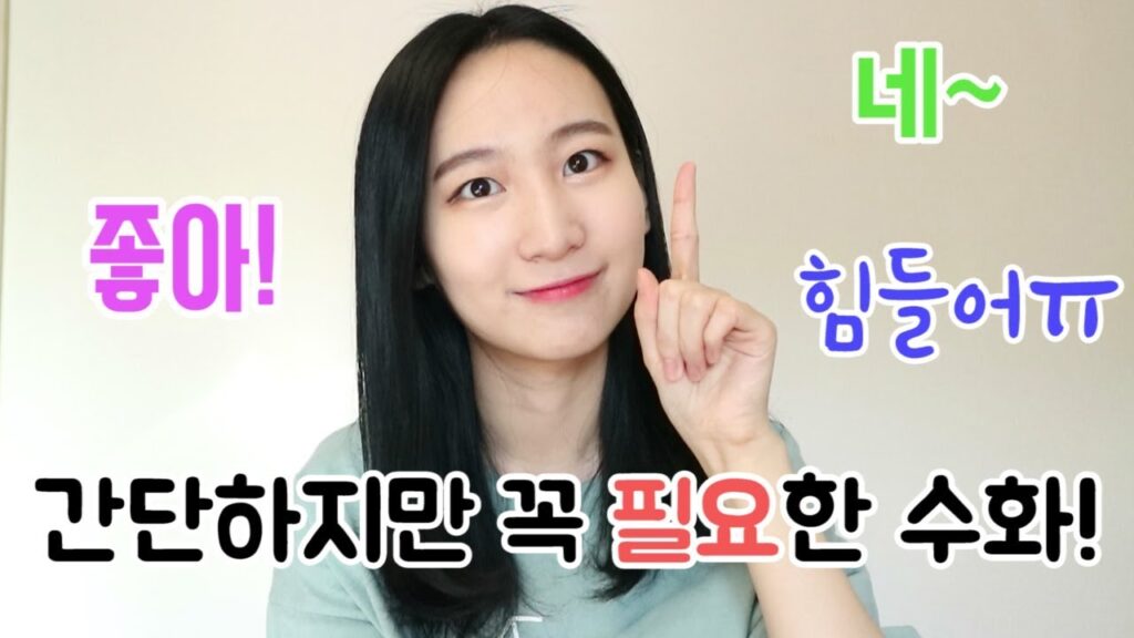 「모드 [mode]」의 한국수어 표현