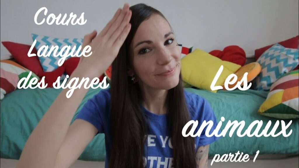 How to sign Langue Des Signes Chimpanzé in ASL