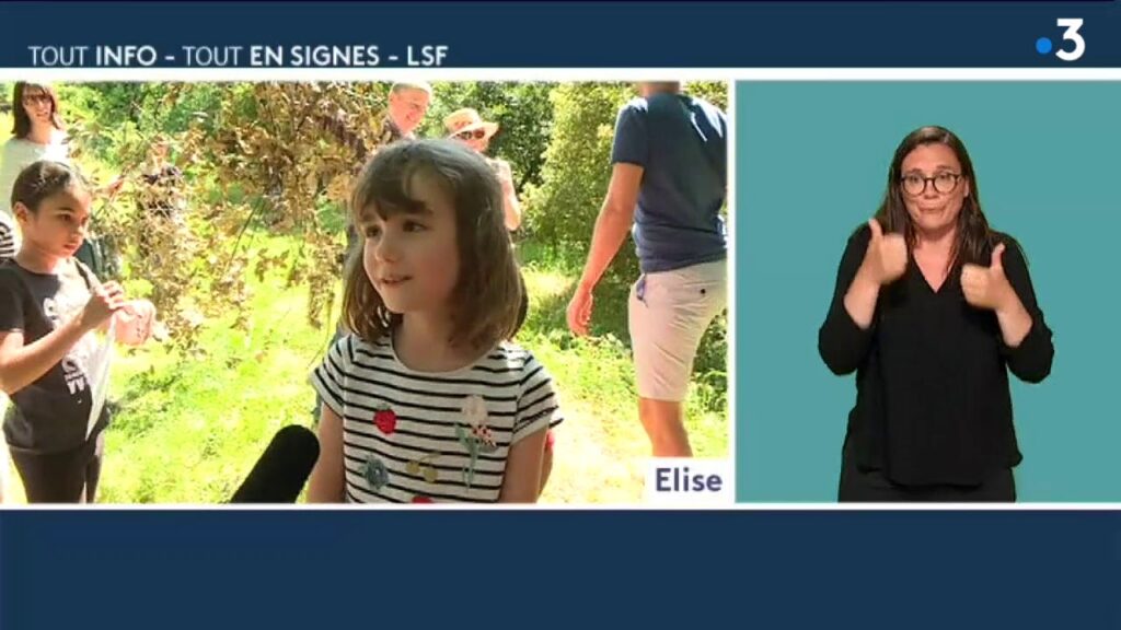 How to sign Formation Langue Des Signes Moselle in ASL