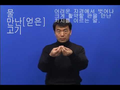 「고기」의 한국수어 표현