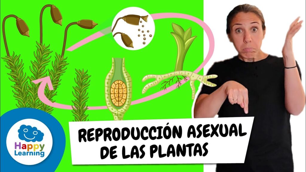 Cómo signar Reproducción Sexual en LSE