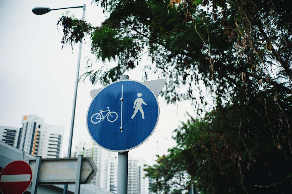 Photo by Koma Tang via Pexels - 「강변도로 [江邊道路標識]」의 한국수어