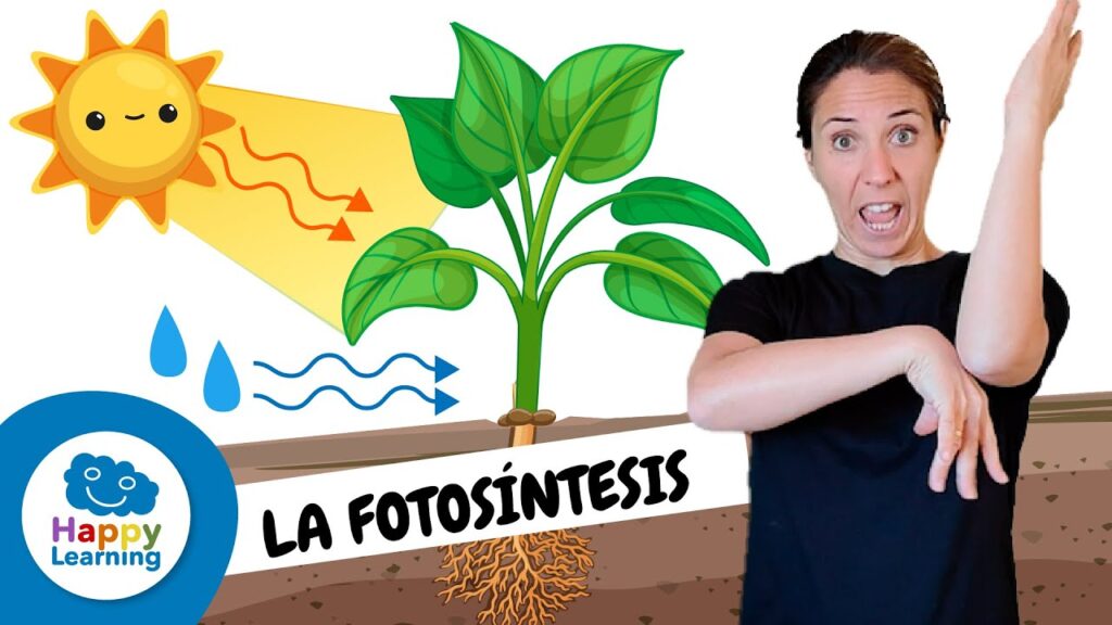 Cómo signar Fotosíntesis en LSE