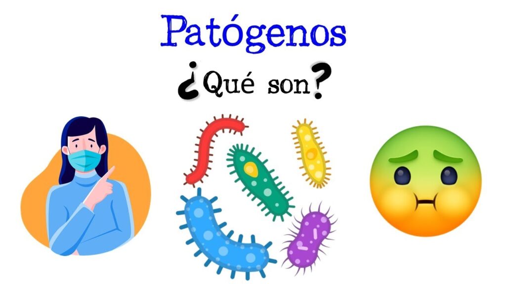Cómo signar Patógeno en LSE