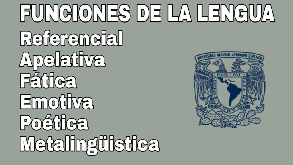 Cómo signar Función Apelativa en LSE
