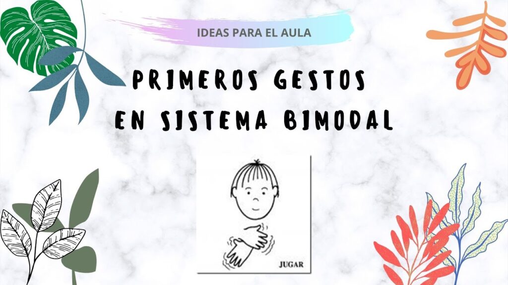 Cómo signar Sistema Stokoe en LSE