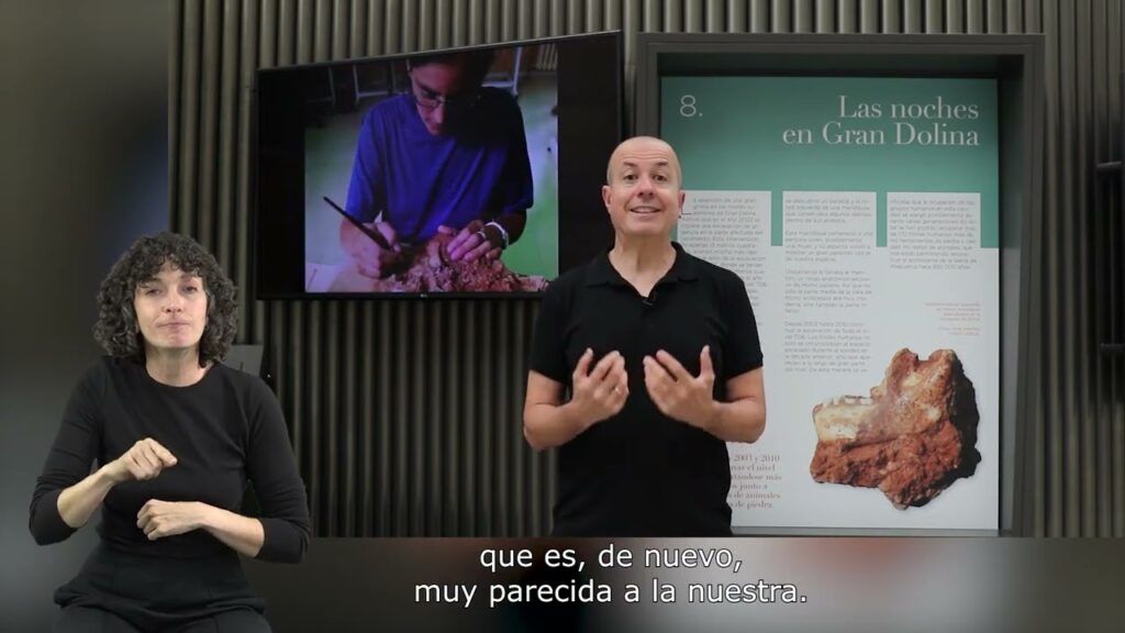 Cómo signar Arqueología en LSE