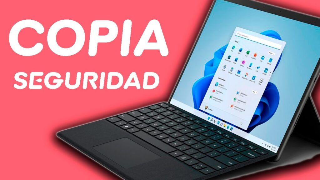 Cómo signar Copia De Seguridad en LSE