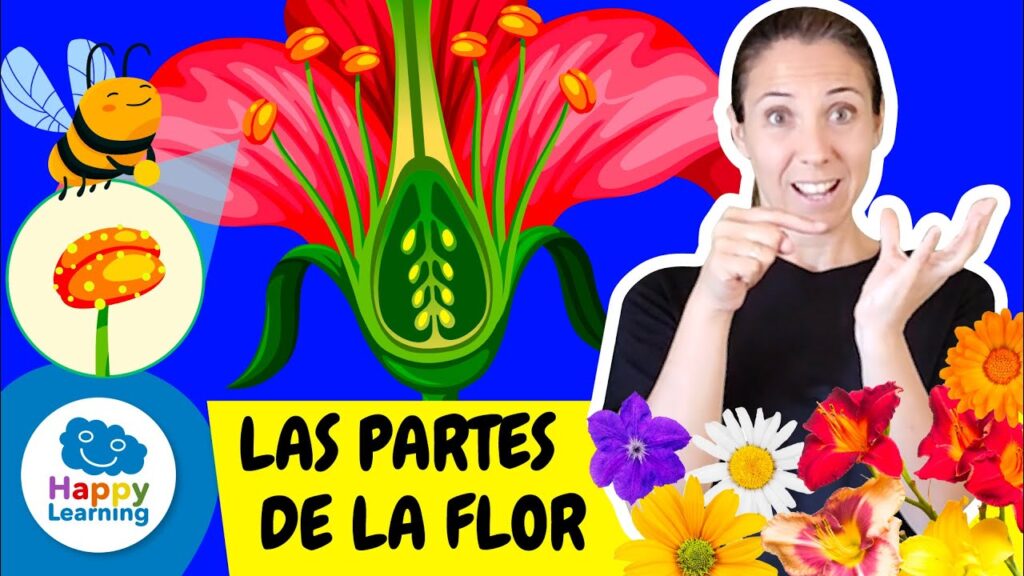 Cómo signar Flor en LSE