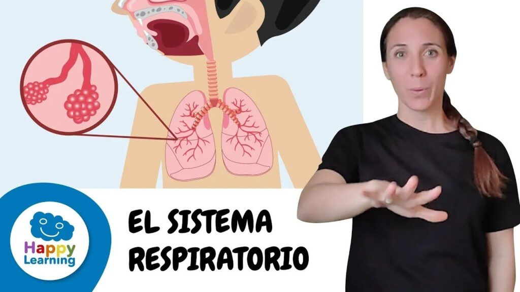 Cómo signar Respiración en LSE