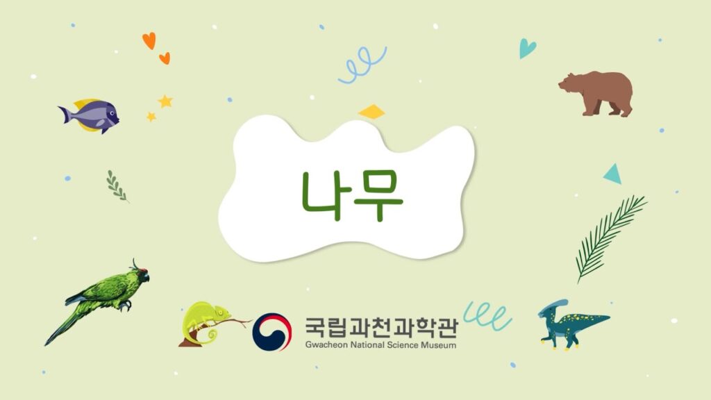 「나무」의 한국수어 표현
